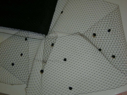 Black bird cage veil netting