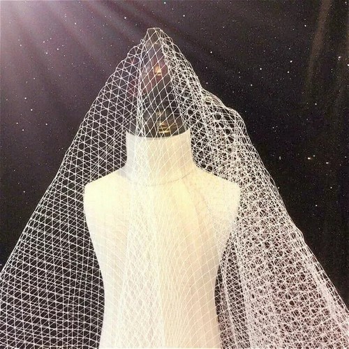 Ivory bird cage - hat, veil