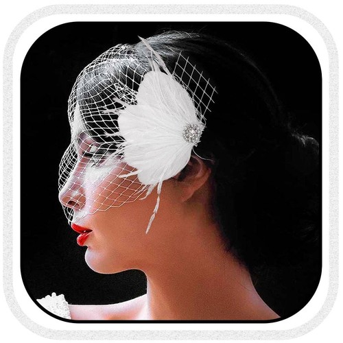 Birdcage veil bridal wedding - birdcage,