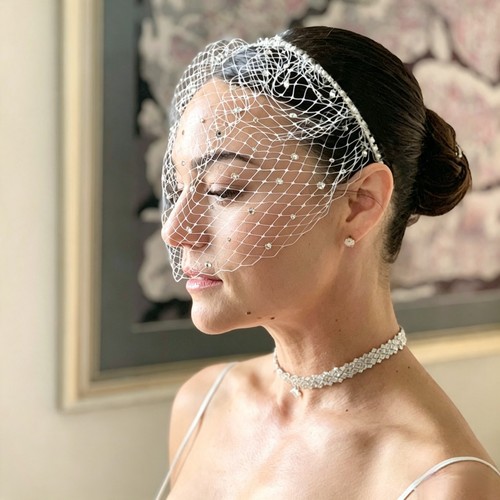 Birdcage veil headband - birdcage,