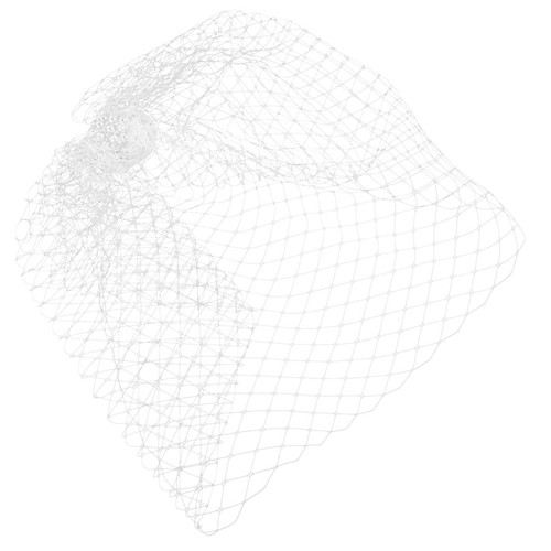 Wedding birdcage veil white - wedding,