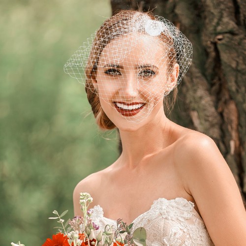 White birdcage veil - white, for