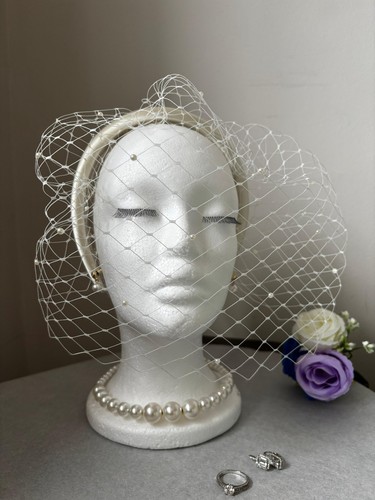 Ivory bridal birdcage veil - ivory,