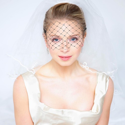 Elegant black mesh birdcage - black,