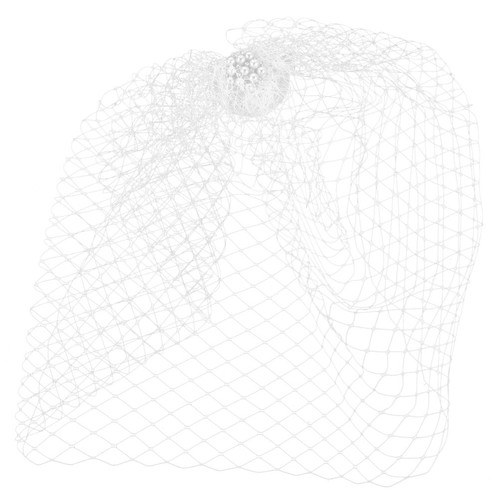 White bridal birdcage veil - bridal,