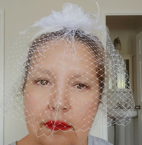 Wedding veils birdcage full - veils,